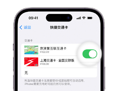 井陉矿apple维修点分享iPhone上更换Apple Pay快捷交通卡手绘卡面 