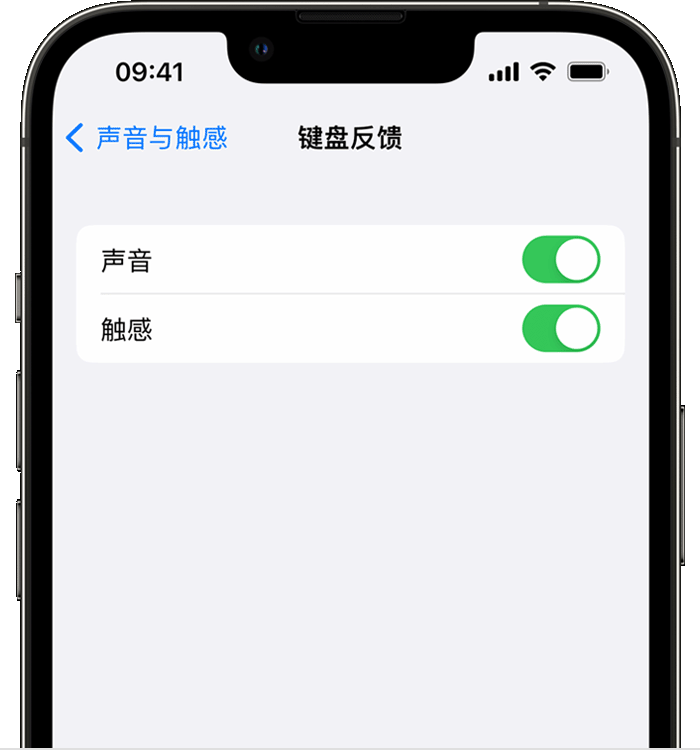 井陉矿苹果14维修店分享如何在 iPhone 14 机型中使用触感键盘 