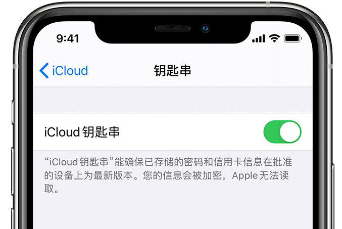 井陉矿苹果手机维修分享在 iPhone 上开启 iCloud 钥匙串之后会储存哪些信息 